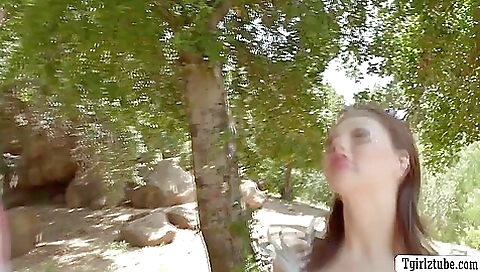 Big ass brunette gets anal and blowjob in a hardcore scene